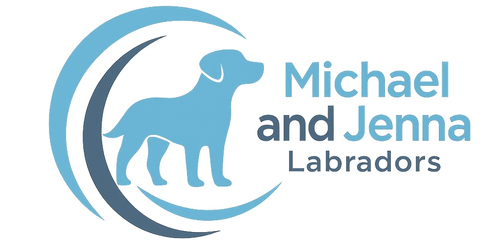 826A123B-4EBB-487E-BA53-5BEF46168586